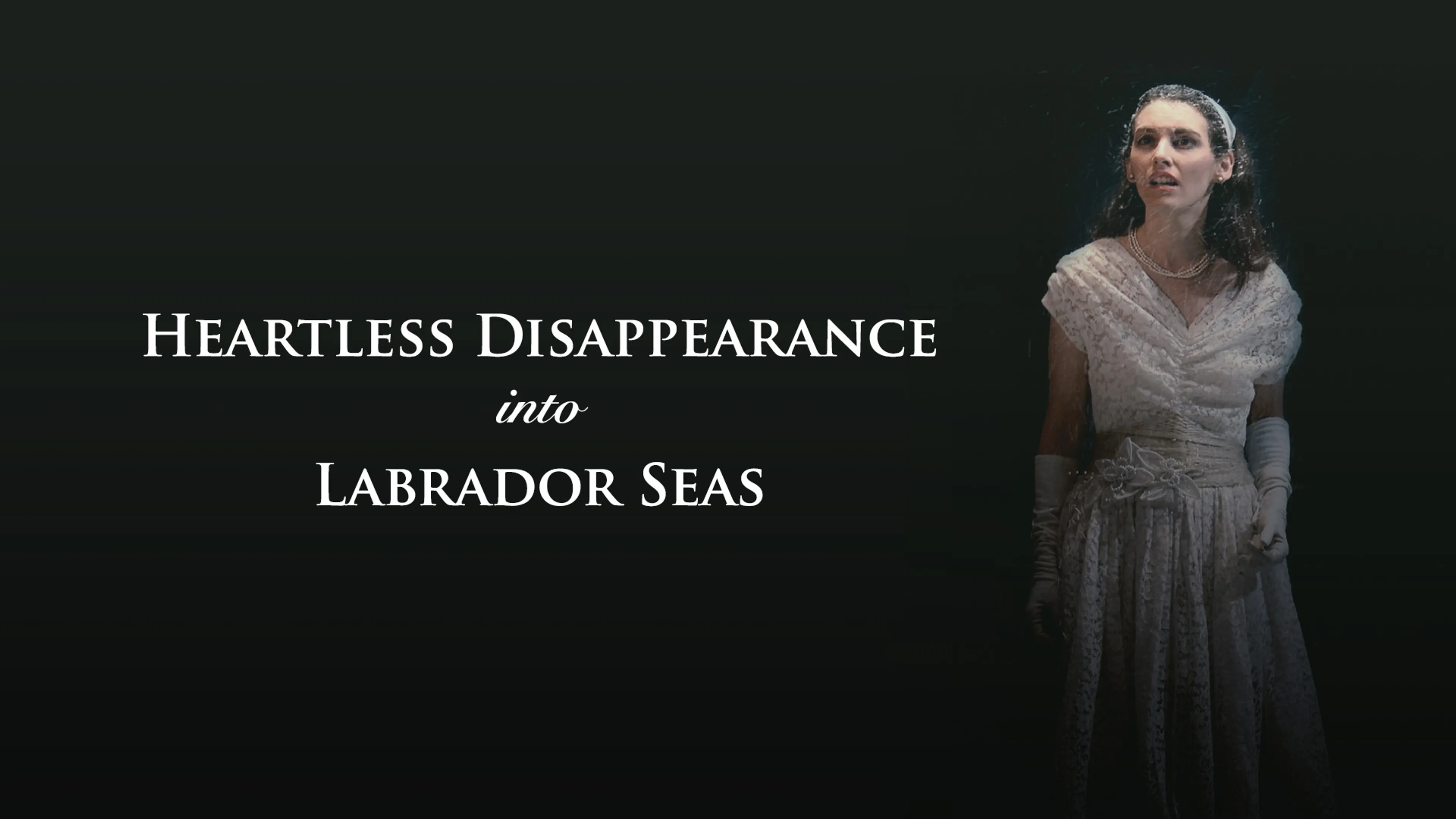 Heartless Disappearance Into Labrador Seas poster